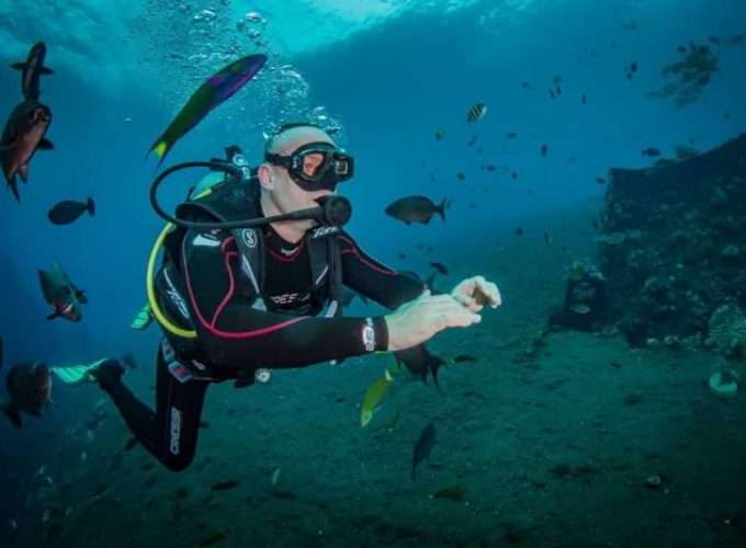 snorkelling and diving in zanzibar islands