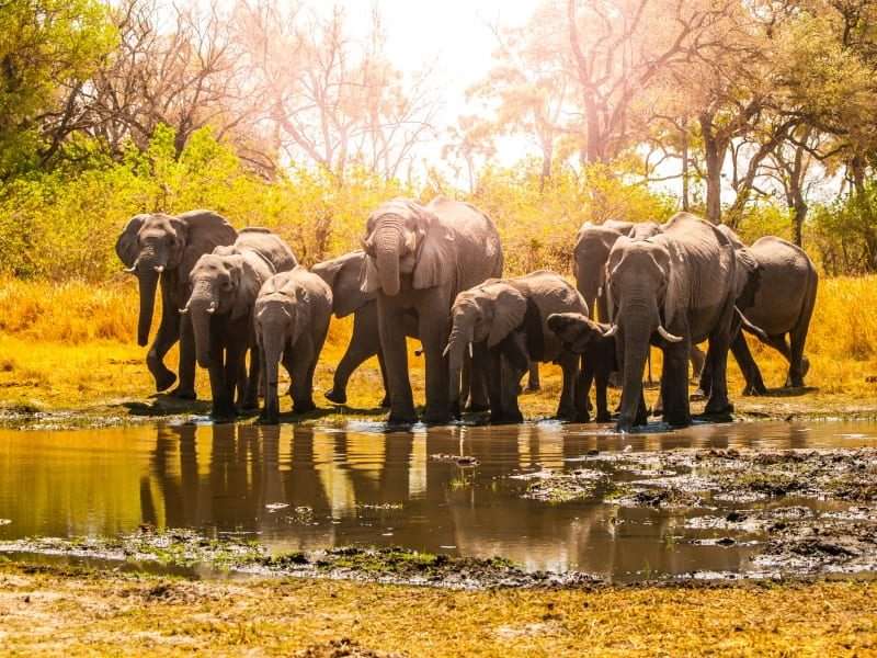 Why Selous Game Reserve should be at the top of your Africa bucket list