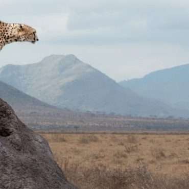 Tanzania – Holiday and Safari Destination