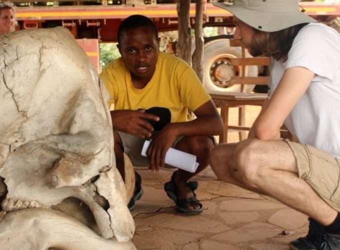 selous safari skull