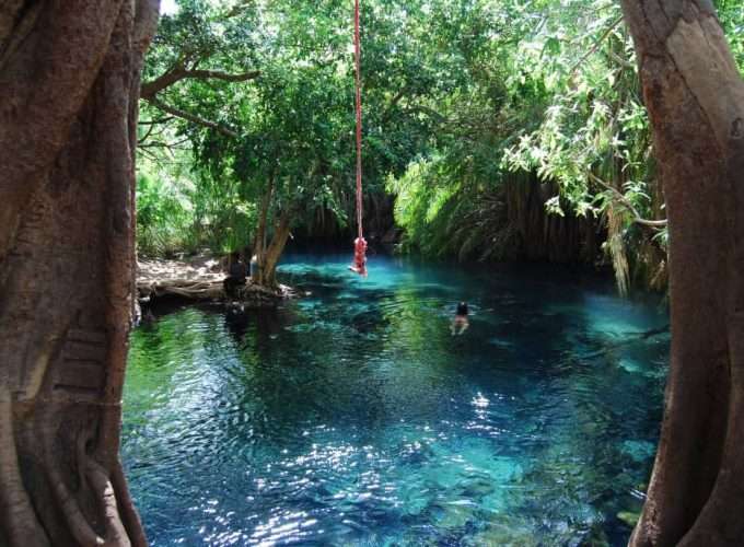 Kikuletwa Hotsprings excursion