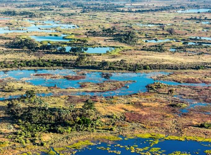 botswana okawango delta safari