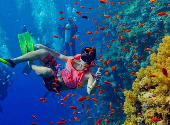 Snorkeling & Scuba Diving