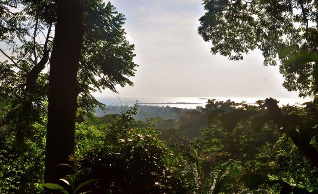 prison island from masingini forest zanzibar island