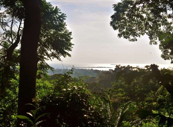 prison island from masingini forest zanzibar island