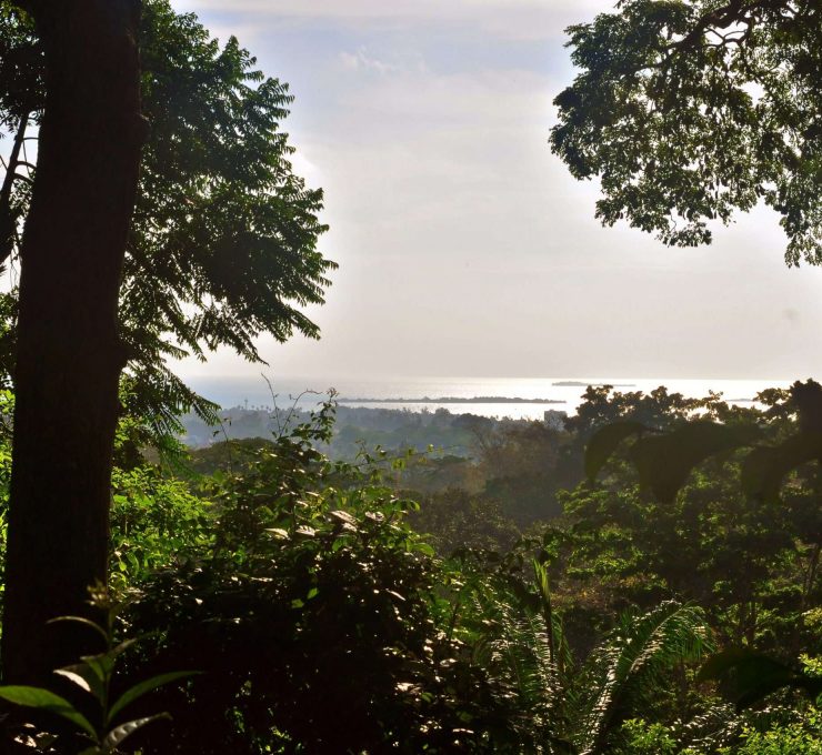 prison island from masingini forest zanzibar island