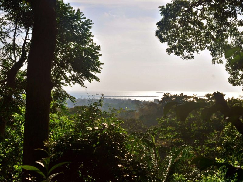 prison island from masingini forest zanzibar island