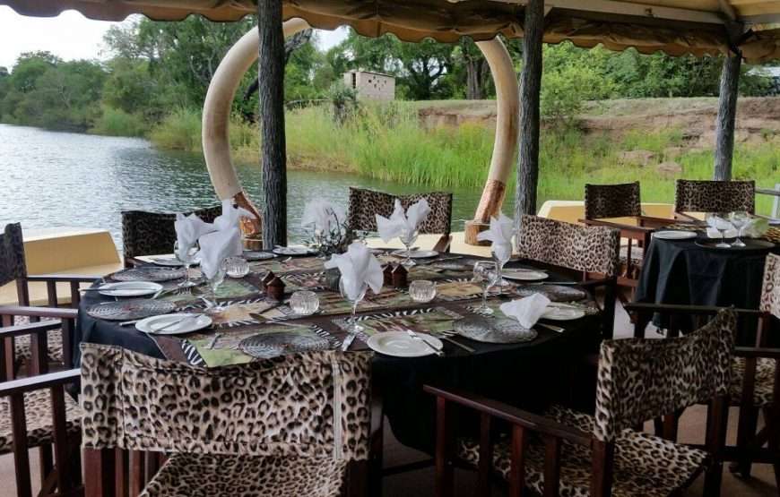 Lion King Sunset Cruise On The Zambezi River