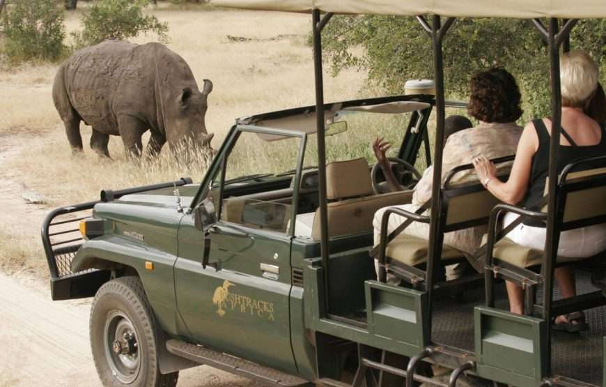 Mosi Oa Tunya Game Drive With Rhino Walk Safari