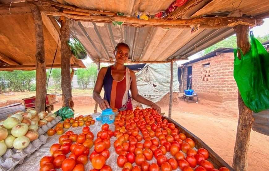 Tour del Mukuni Village a Livingstone, Zambia