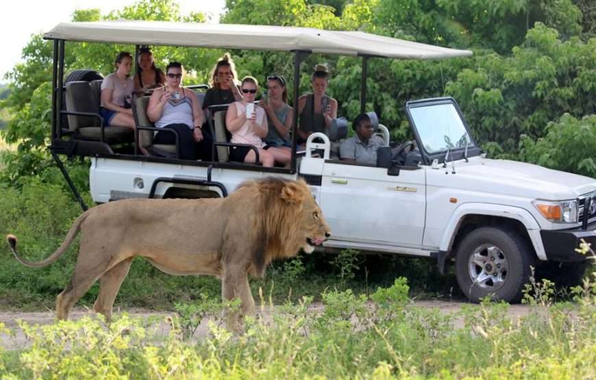 Chobe Full Day Trip from Livingstone/Victoria Falls including Return transfers & Buffet Lunch