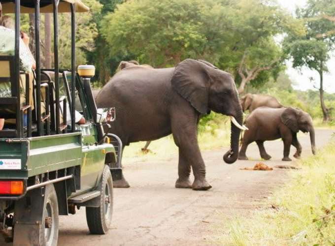 Mosi Oa Tunya Game Drive With Rhino Walk Safari