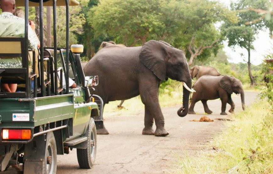 Mosi Oa Tunya Game Drive With Rhino Walk Safari