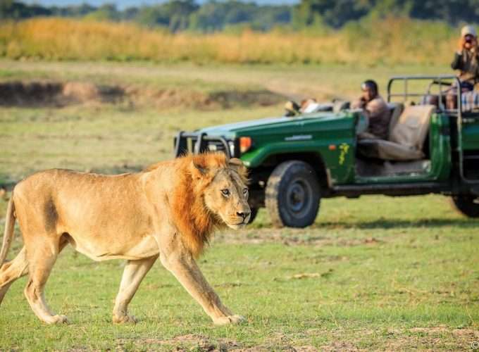 7 Days South Luangwa and Lower Zambezi Safari