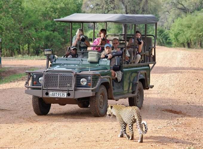 4 Days Best of South Luangwa Safari – Luxury