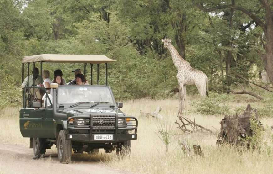 Mosi Oa Tunya Game Drive With Rhino Walk Safari