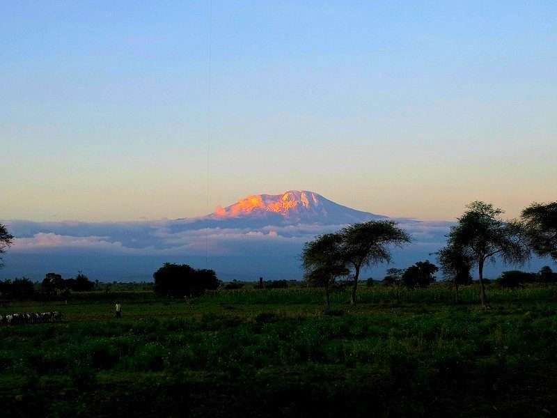 kilimanjaro evid