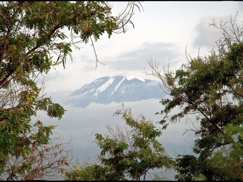 Kilimanjaro Itineraries 5: the Rongai Route