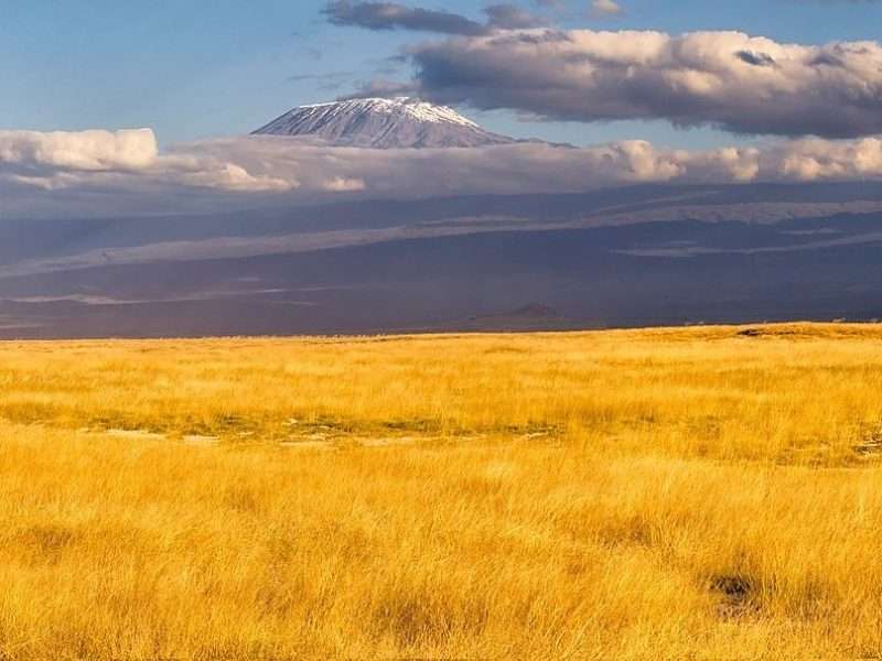 Kilimanjaro Itineraries 4: Shira Plateau