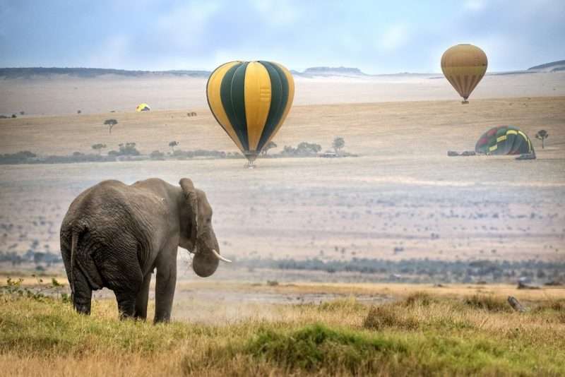 kenya kilimnajaro safari baloon elephant masaai mara amboseli tsavo holiday