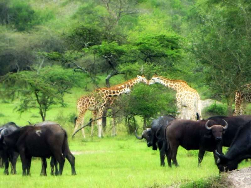 Lake Mburo National Park