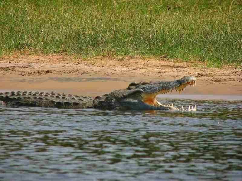 Central Island National Park in Kenya