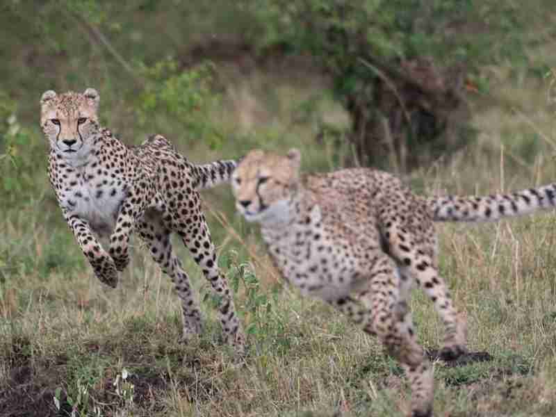 Exploring Kora National Park