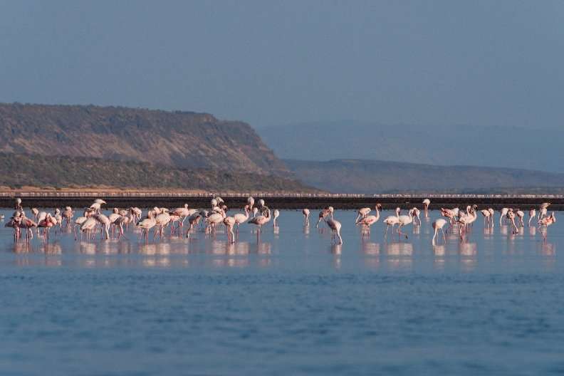 MAGADI 1