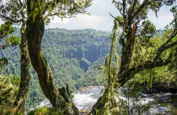 Aberdare National Park
