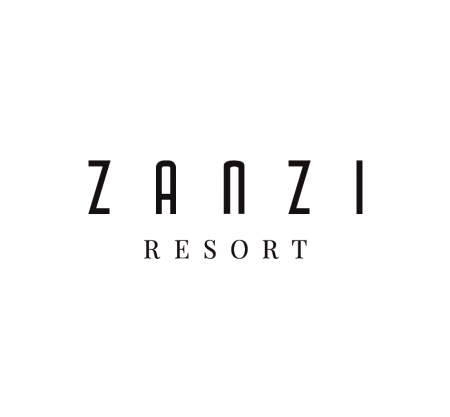 logo zanzi