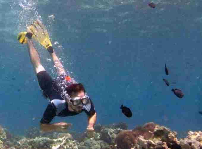 mnemba atoll snorkelling (1)