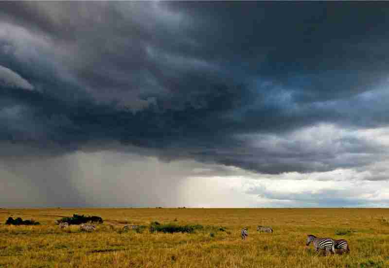 MASAI MARA 2