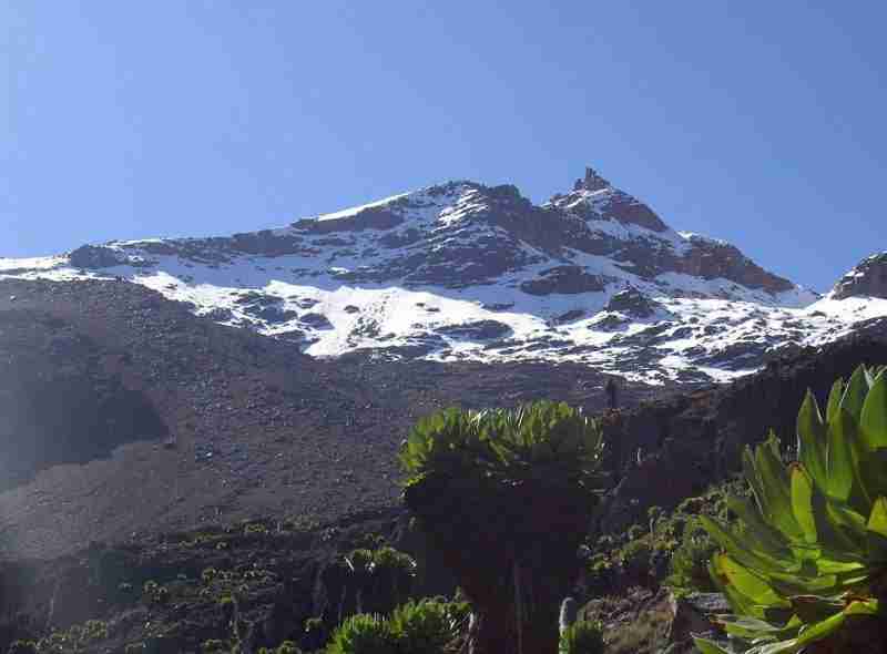 MT KENYA 1