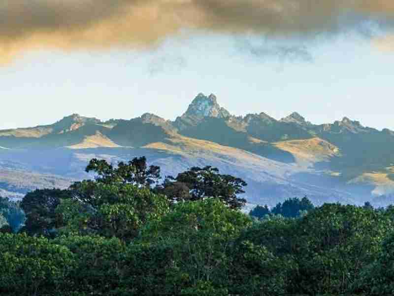 Mount Kenya National Park