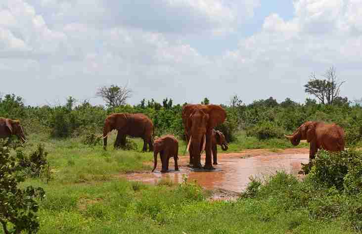 tsavo west 02