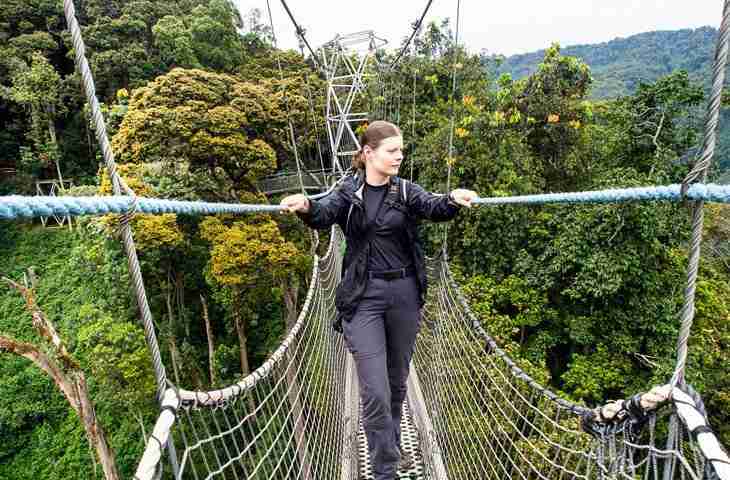 Exit Volcanoes and transfer to Nyungwe National Park 