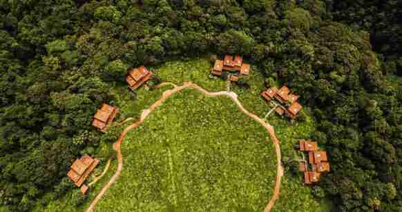 Transfer to Nyungwe forest national park 