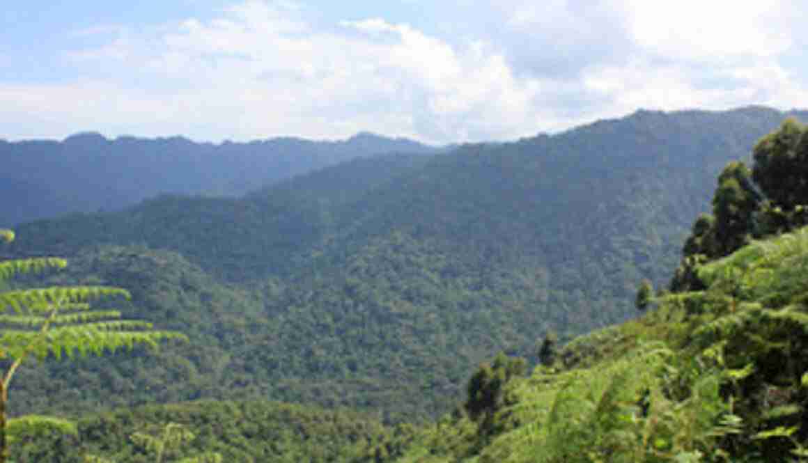 Lake Mburo Bwindi forest national park 