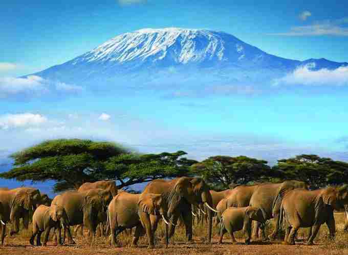 6-Day Kenya Budget Group Safari  Masai Mara – Lake Nakuru – Amboseli