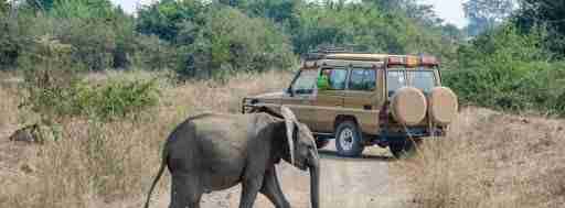 Transfer through the crater lakes area to Queen Elizabeth NP & boat-cruise on Kazinga channel 