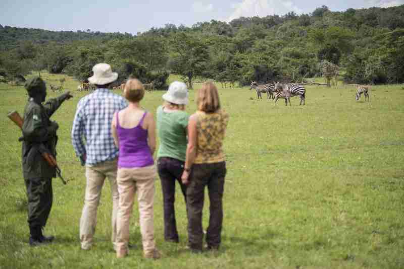 Morning nature walk and drive to Entebbe 