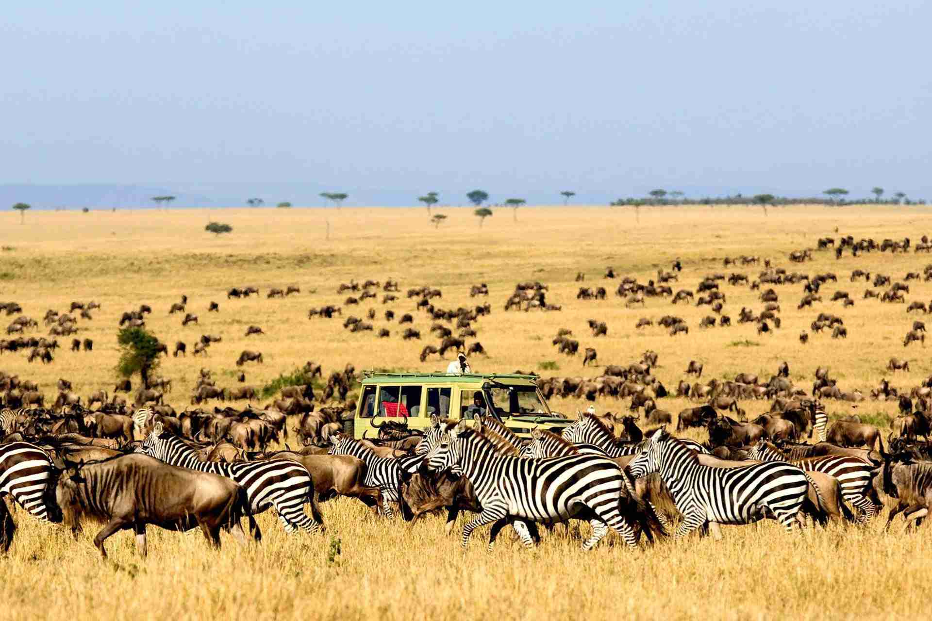 All day game drive and walk at the Hot springs 