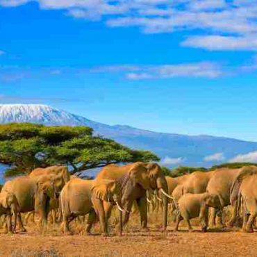 Kenya – Holiday and Safari Destination