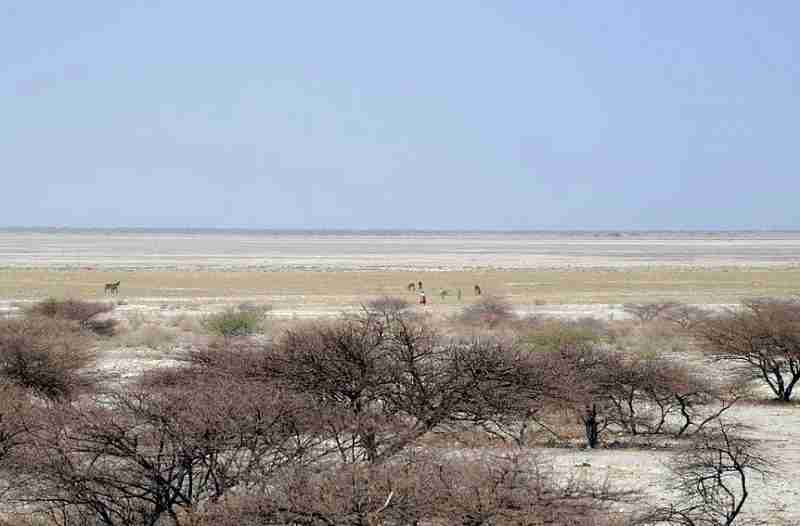 MAKGADIKGADI 02