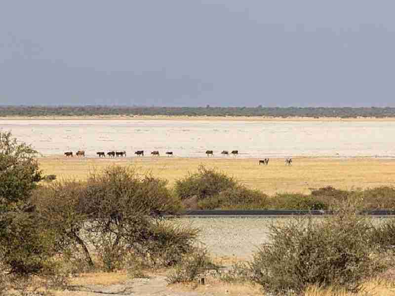 Makgadikgadi Pans National Park