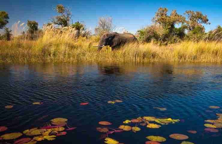 Chobe National Park