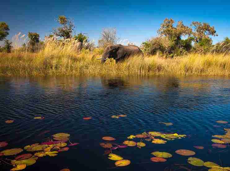 Chobe National Park - Heart Of Africa Expedition