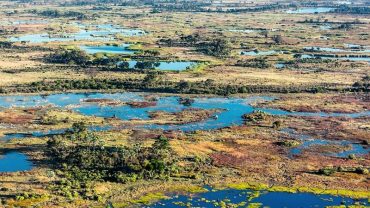 Delta dell’Okawango, Moremi e Khwai