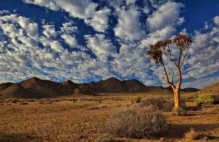 Kgalagadi Transfrontier Park