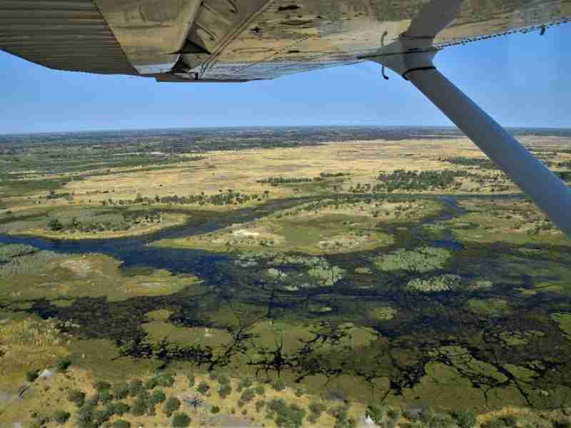 maun evid